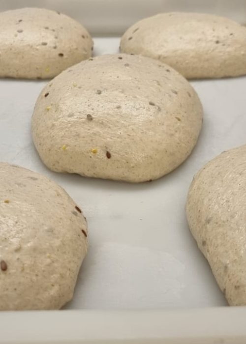 411059036_122112033134134648_7457085475339372404_n